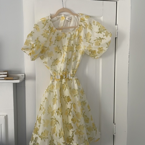 Floral Mini Dress With Open Back - Picture 3 of 3